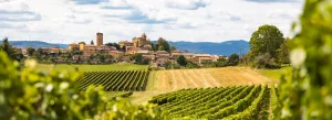 Ouverture d'un écomusée dans le Haut Beaujolais et première grande exposition temporaire