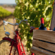L'Œnotourisme, un atout économique, solidaire et durable pour les territoires | Marketing territorial : outils, enjeux et perspectives