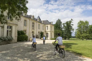 L’œnotourisme - Le rôle d'un OT dans le développement d'une destination