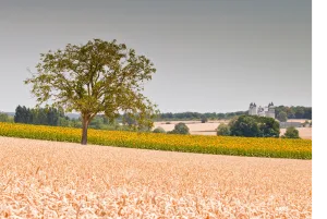 Tourisme de nature