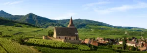Œnotourisme, une filière en plein développement