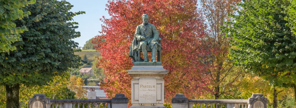 L'Académie des sciences va ouvrir une scénographie dans la Maison Pasteur d’Arbois
