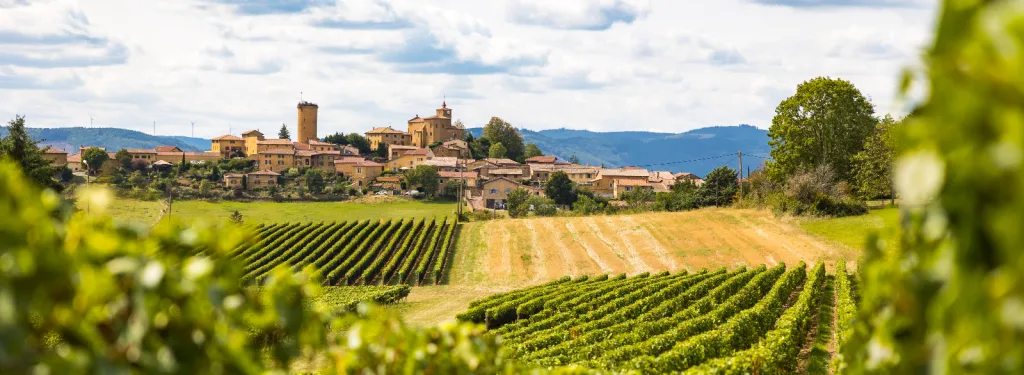 Ouverture d'un écomusée dans le Haut Beaujolais et première grande exposition temporaire