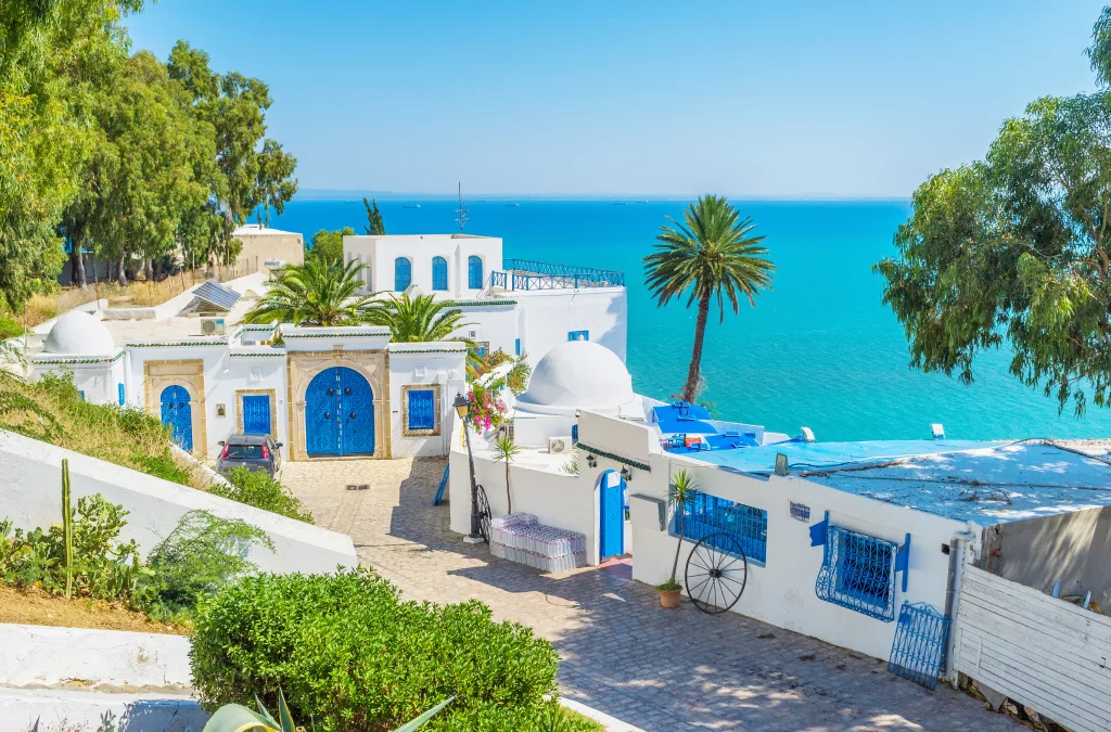 MIEUX VENDRE - Tunisie