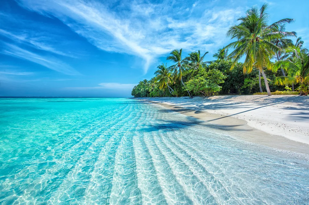 MIEUX VENDRE - Maldives