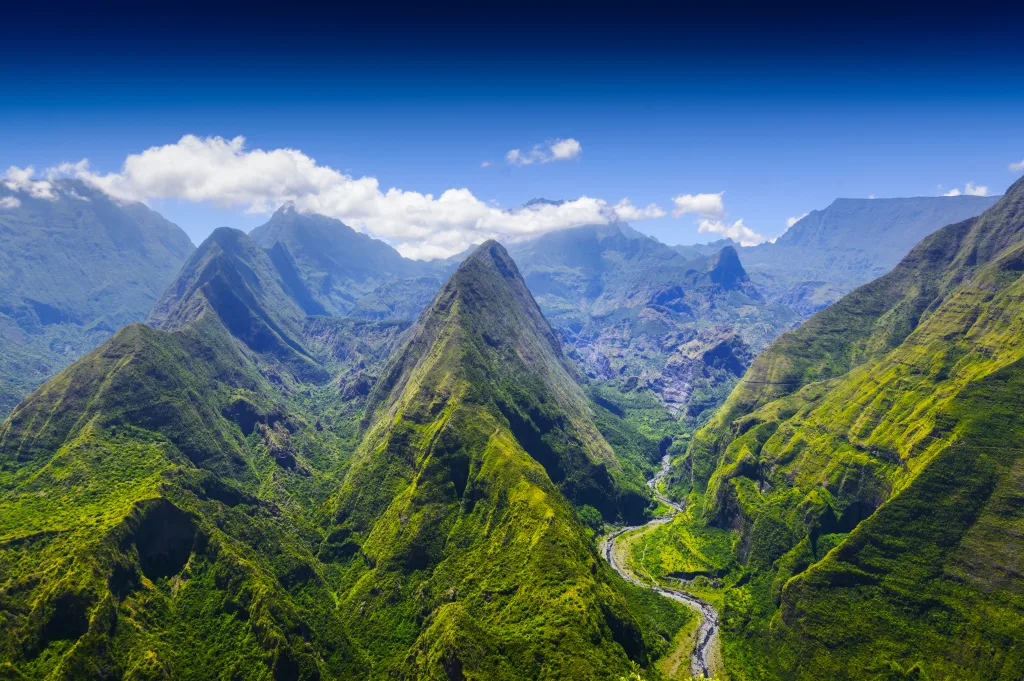 MIEUX VENDRE - La Réunion