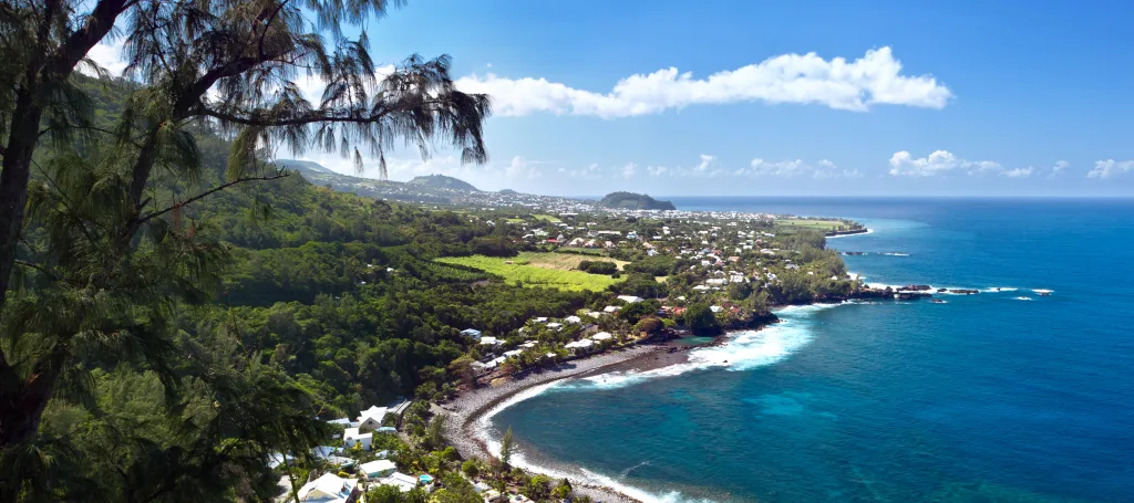 MIEUX VENDRE - La Réunion