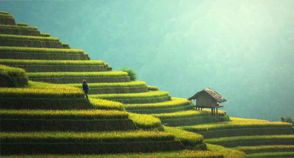 MIEUX VENDRE - Vietnam