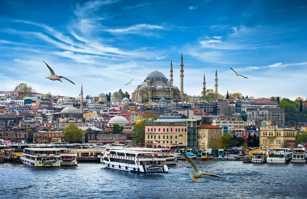 MIEUX VENDRE - Turquie