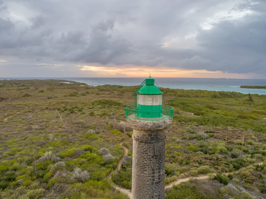 MIEUX VENDRE – Guadeloupe