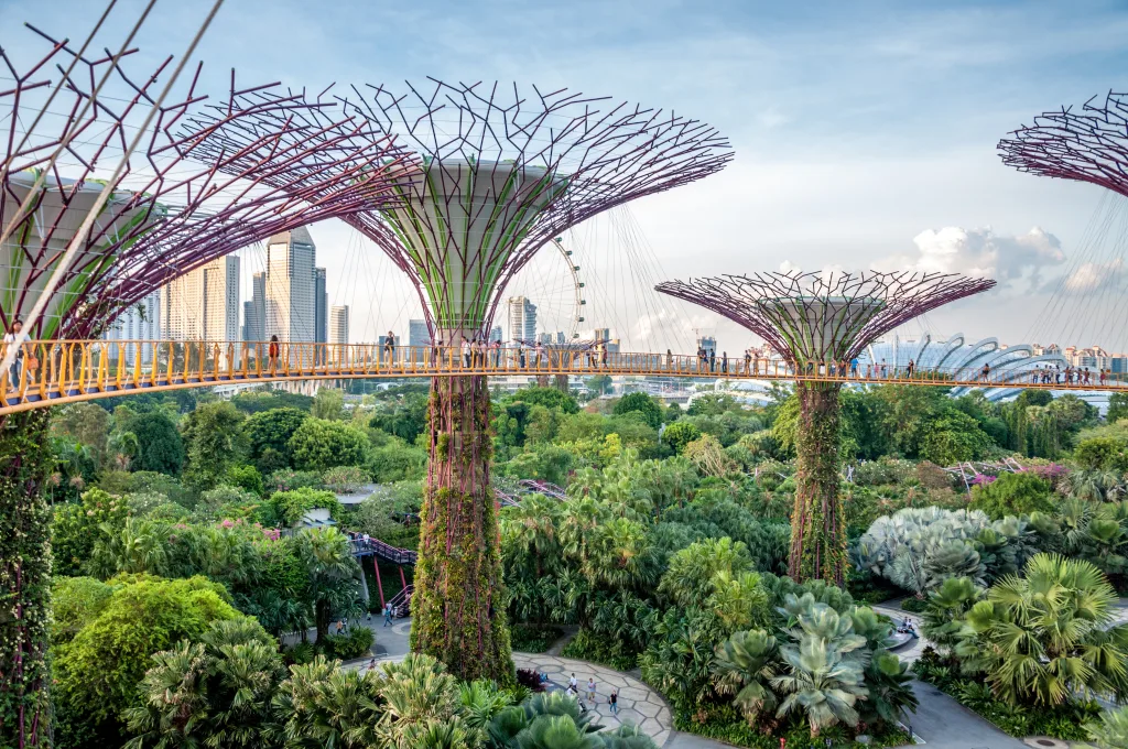 MIEUX VENDRE - Singapour