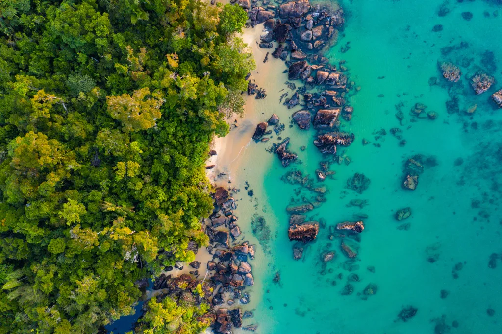 MIEUX VENDRE - Madagascar