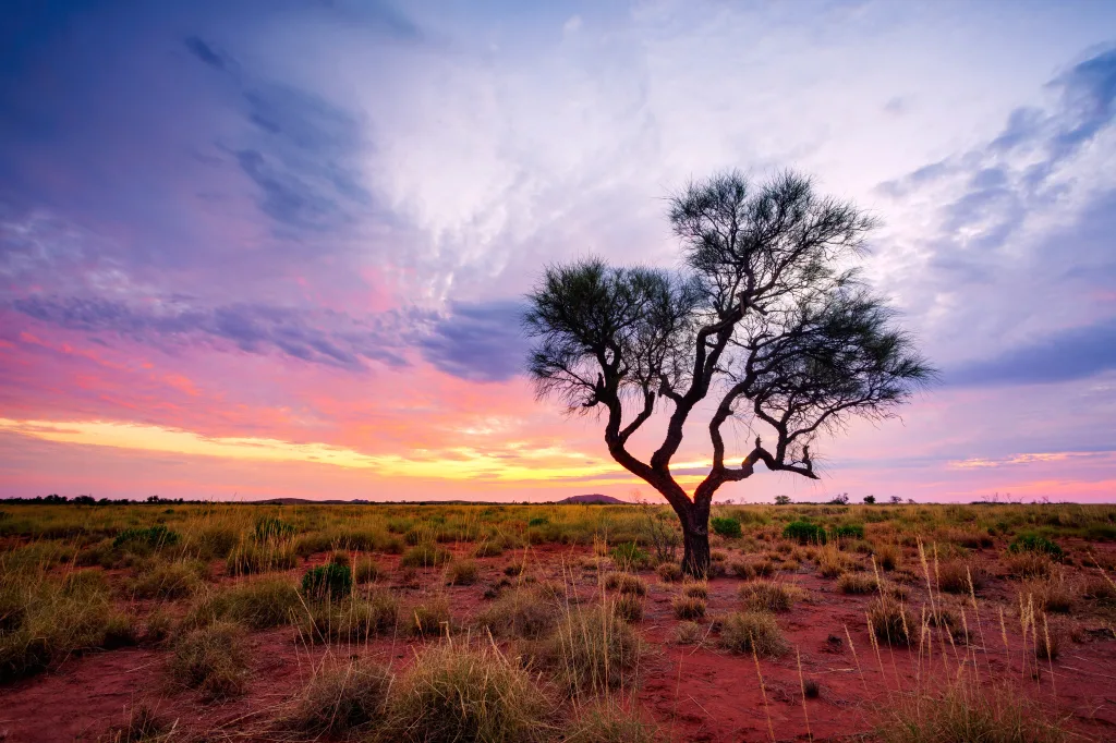 MIEUX VENDRE - Australie