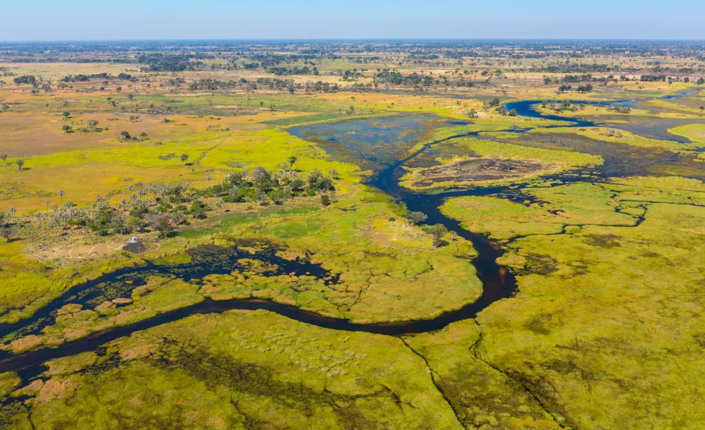 MIEUX VENDRE - Botswana
