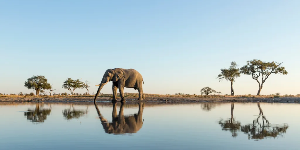 MIEUX VENDRE - Botswana