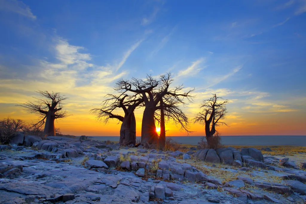 MIEUX VENDRE - Botswana