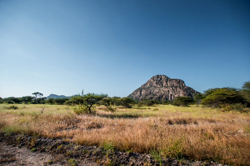 MIEUX VENDRE - Botswana
