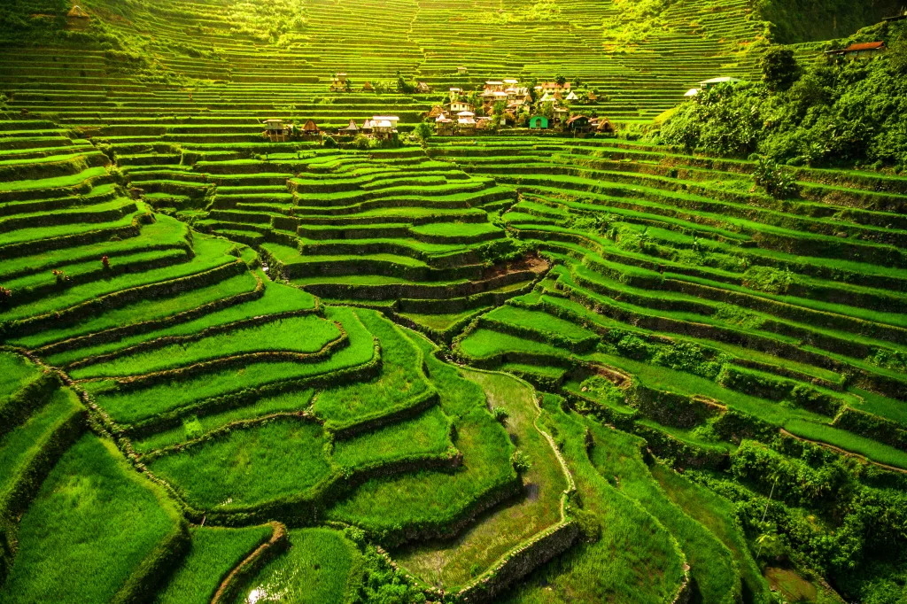 MIEUX VENDRE - Les Philippines