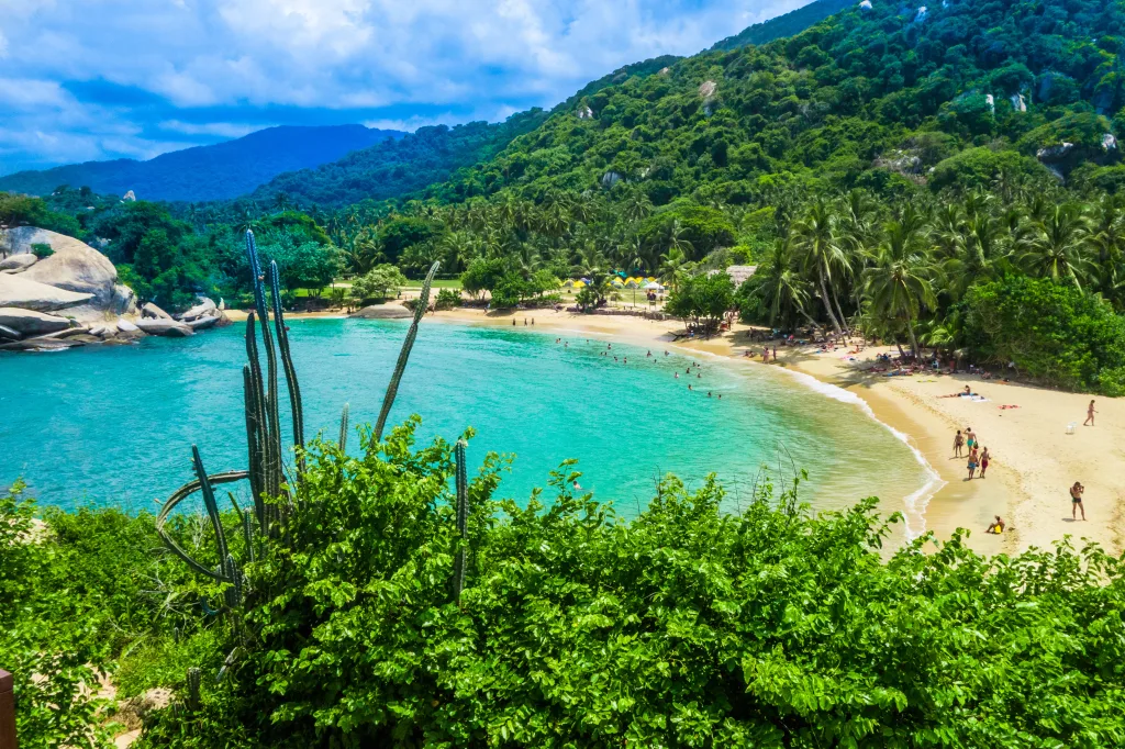 MIEUX VENDRE - Colombie